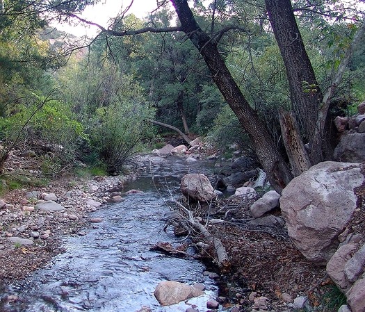 San Pedro River