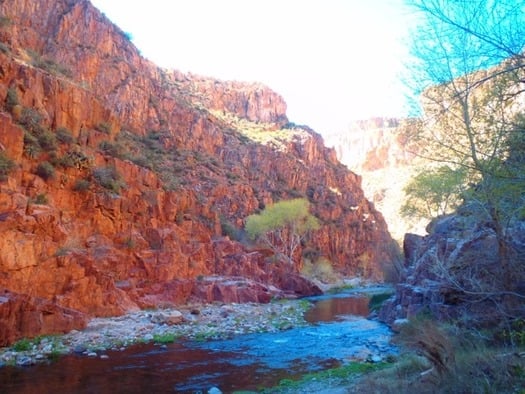 Aravaipa Canyon Wilderness