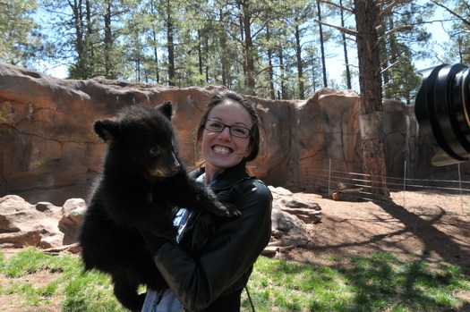 Bearizona Wildlife Park