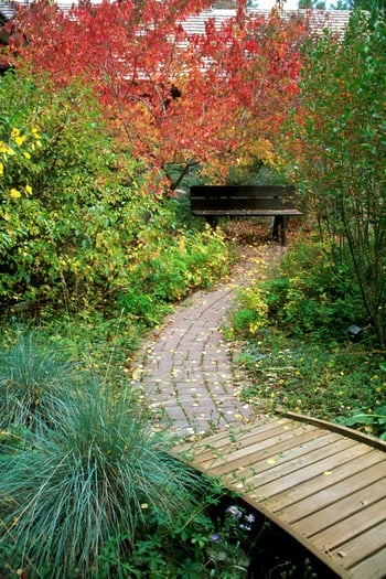 The Arboretum at Flagstaff