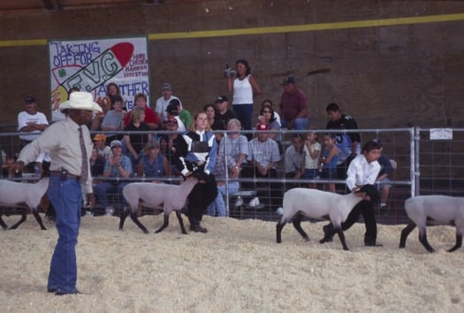 County Fair