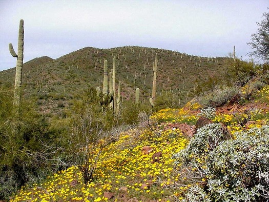 Pipeline Canyon Trail