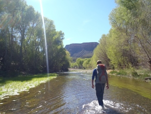 Aravaipa Canyon Wilderness