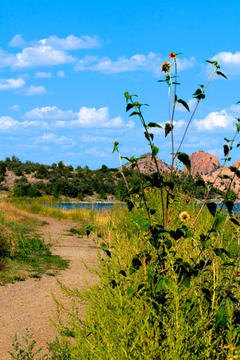 Watson Lake