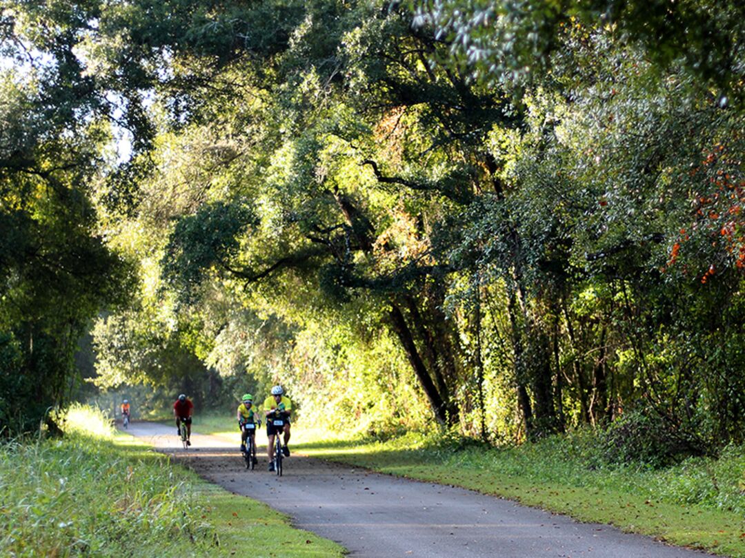 Withlacoochee State Trail GNT Ride Edit