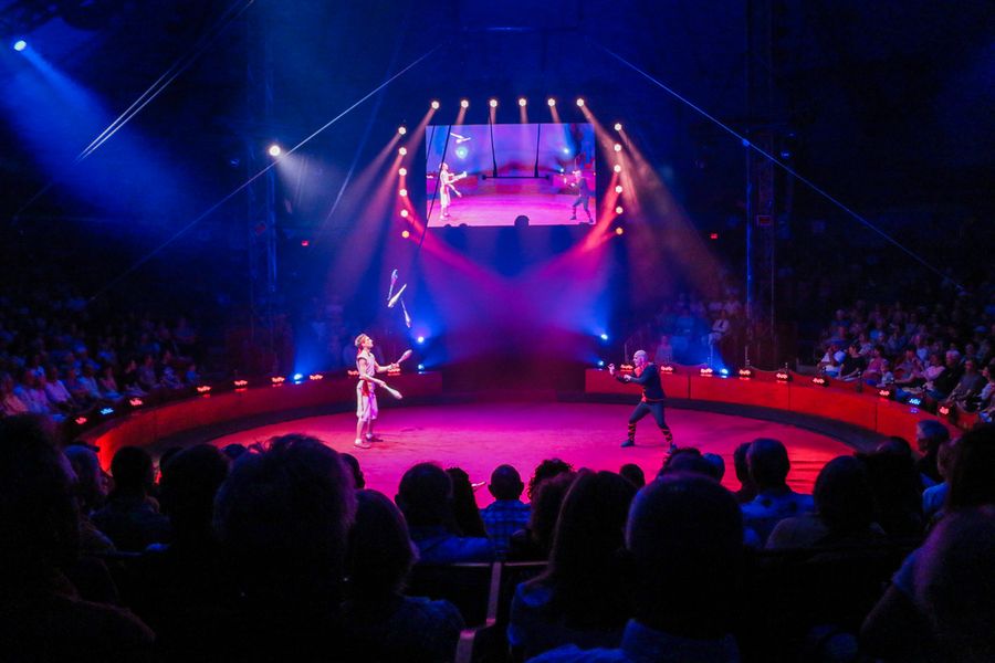 Circus Sarasota