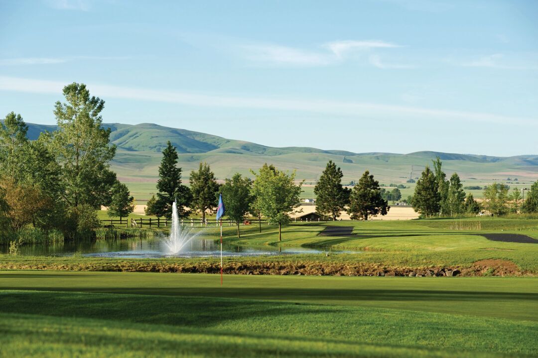 WGC mtn view