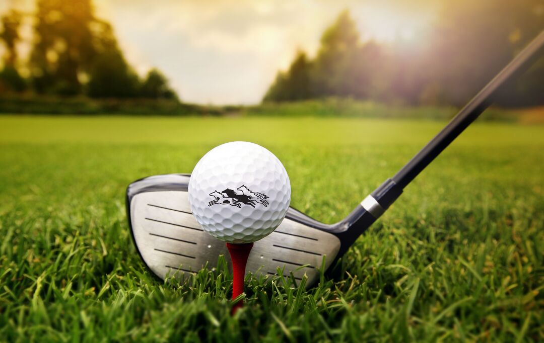 WGC golf ball