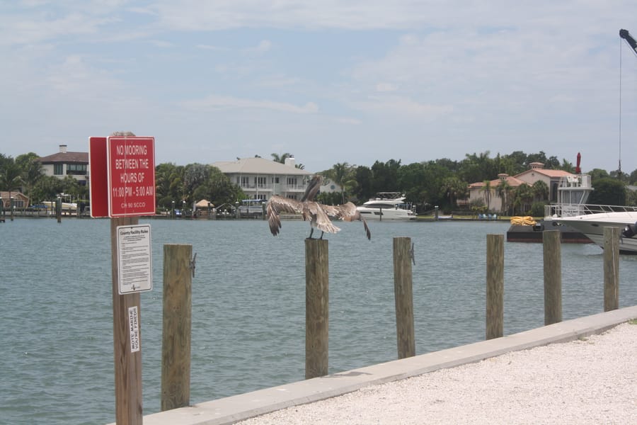 Nora Patterson Park