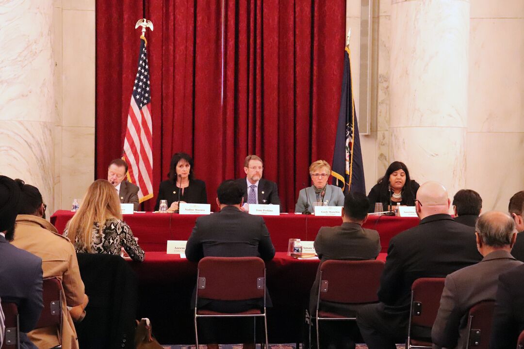 RNS-Citizenship-Laws3 030520