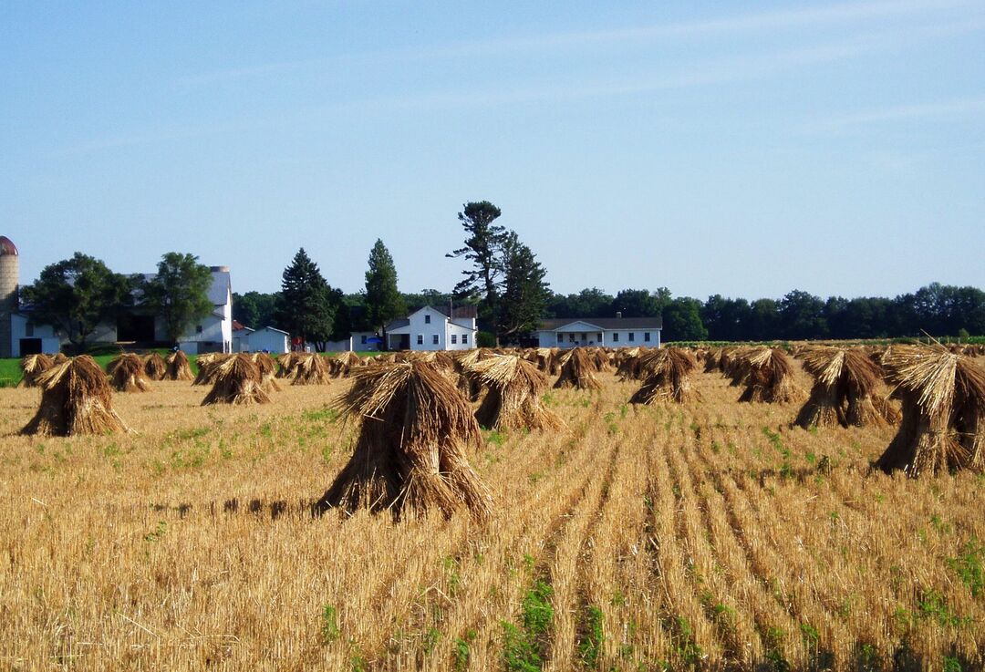 RNS-Amish-Farm1 040720