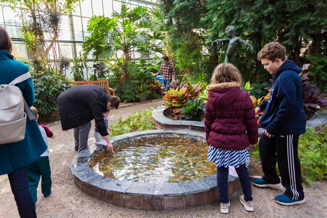 Getaway at the Greenhouse