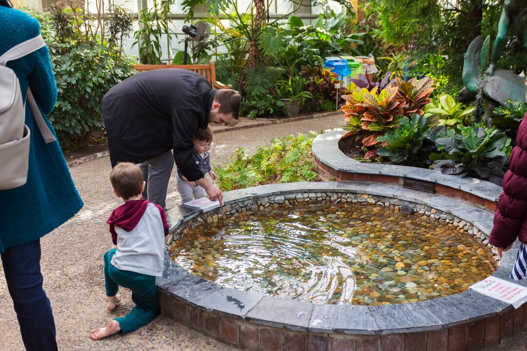 Getaway at the Greenhouse