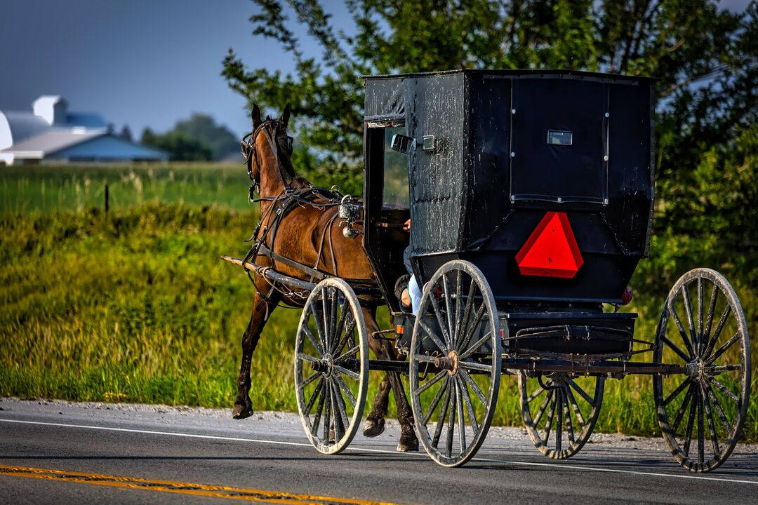 RNS-Amish-Farm2 040720