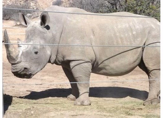 Out of Africa Wildlife Park