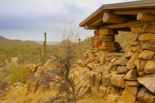 Saguaro National Park Lookout