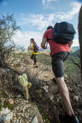 Sabino Canyon