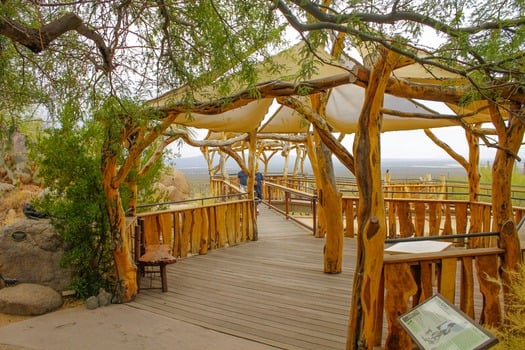 Arizona Sonoran Desert Museum