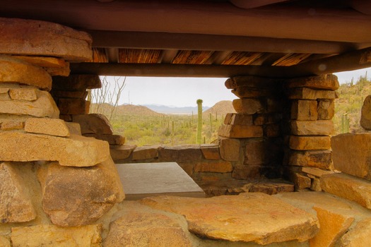 Saguaro National Park Lookout