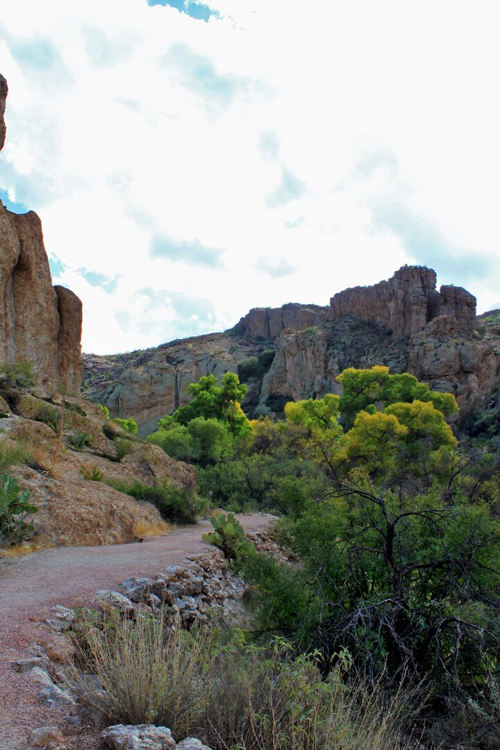 Boyce Thompson Arboretum