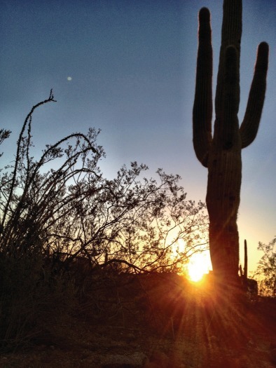 Superstition Mountain - Apache Junction - Tonto National Park