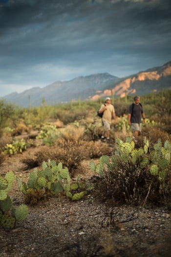 Sabino Canyon Hiking