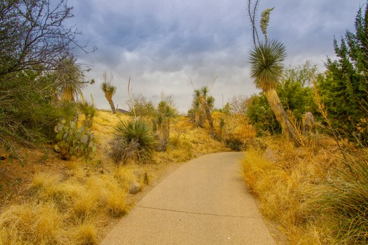 Arizona Sonoran Desert Museum