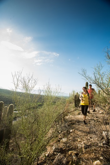 Sabino Canyon Hiking