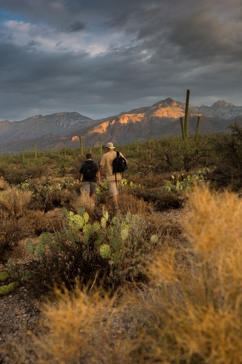 Sabino Canyon Hiking