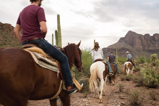 White Stallion Ranch-Horseback