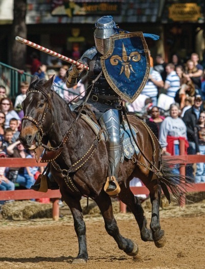 Arizona Renaissance Festival