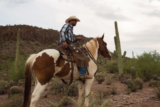 White Stallion Ranch-Horseback