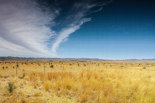 Sonoita