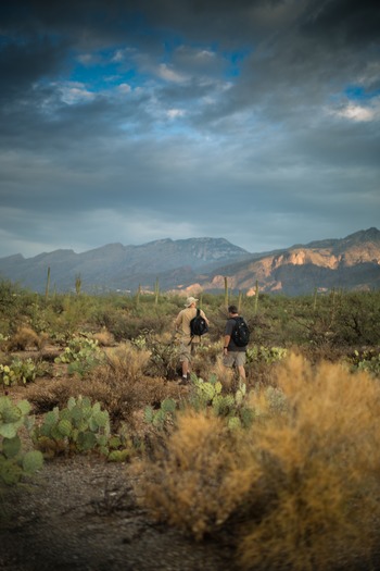 Sabino Canyon Hiking