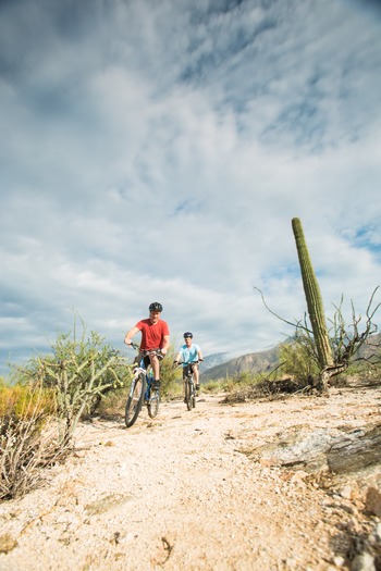 Sabino Canyon Mountain Biking