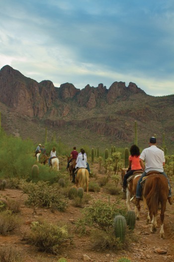 White Stallion Ranch-Horseback