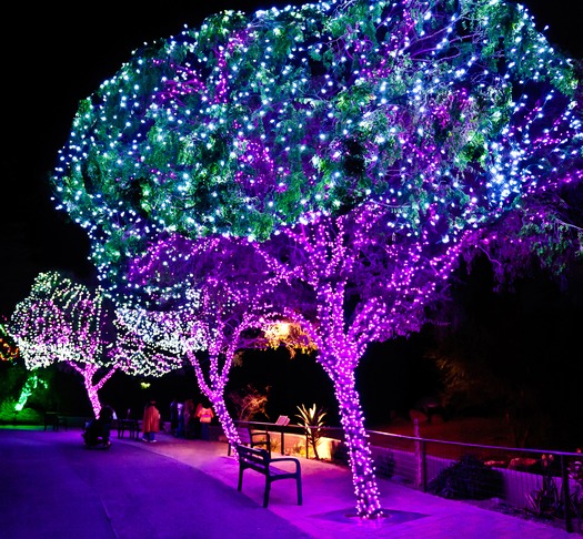 ZooLights