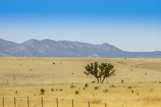 Sonoita