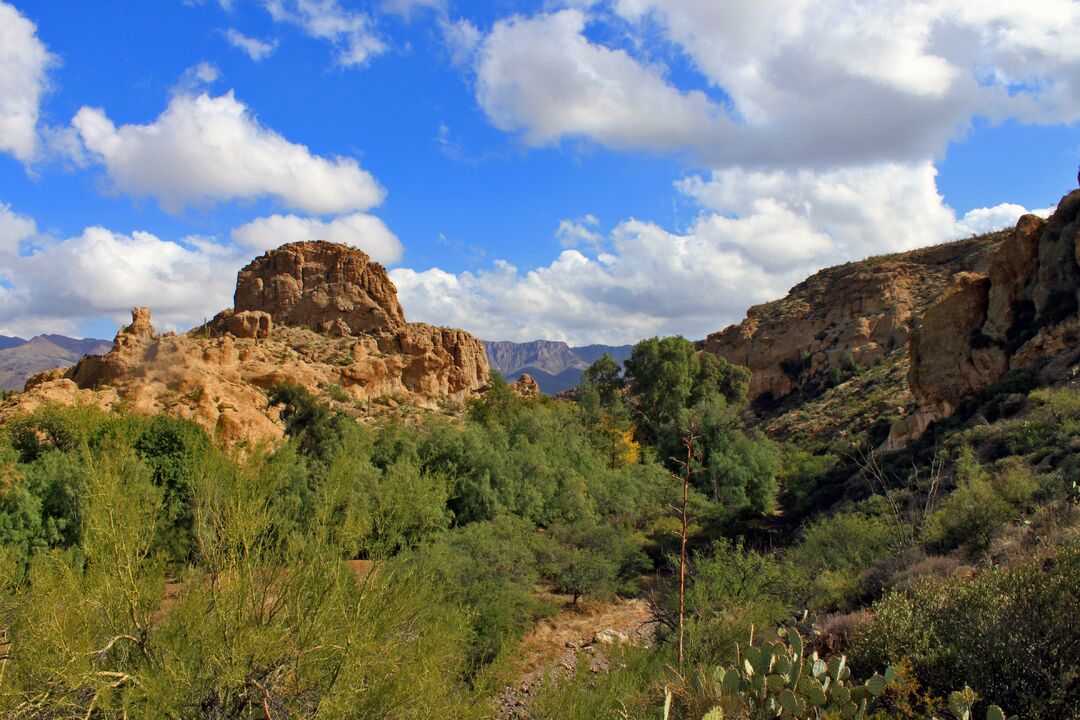 Boyce Thompson Arboretum