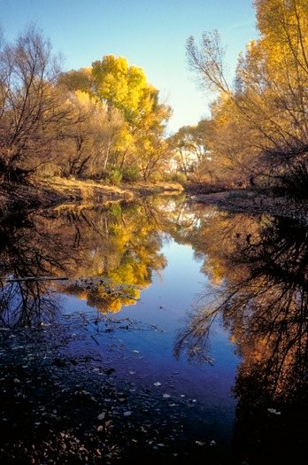 San Pedro River