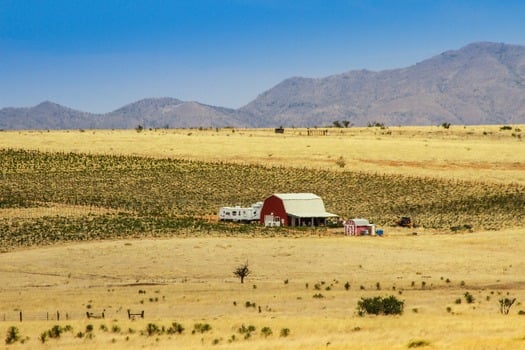 Sonoita Vineyard