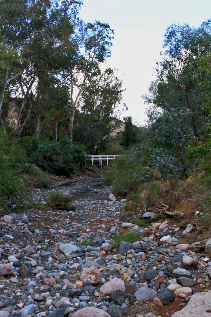 Boyce Thompson Arboretum