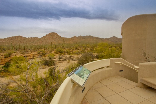 Saguaro National Park Lookout