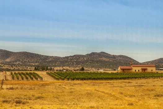 Sonoita Area Vineyards