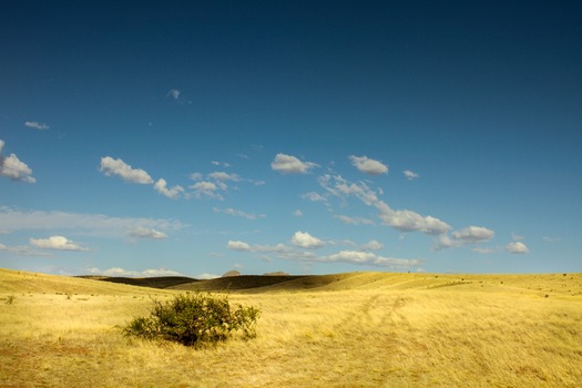 Sonoita