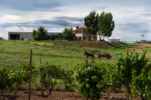 Sonoita Vineyards - Elgin - West of Huachuca Mountains