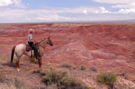 Painted Desert