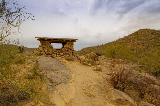 Saguaro National Park Lookout