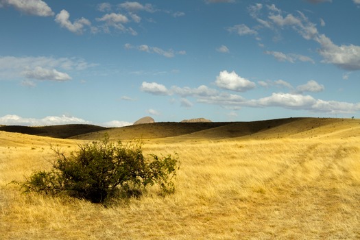 Sonoita