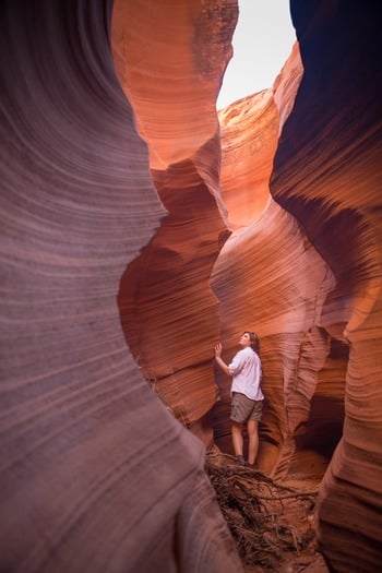 Rattlesnake Canyon